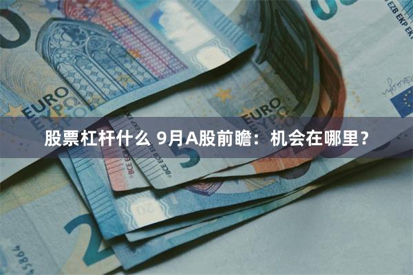 股票杠杆什么 9月A股前瞻：机会在哪里？