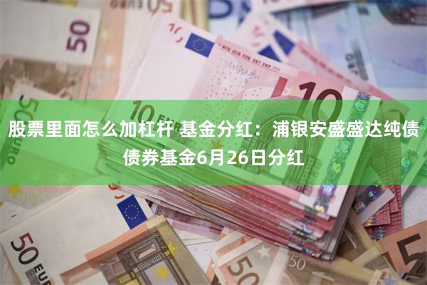 股票里面怎么加杠杆 基金分红：浦银安盛盛达纯债债券基金6月26日分红